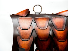 Picture of Brown Patina Leather Dog Armor 1/1